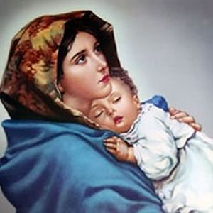 Meet your Posher, Krestin